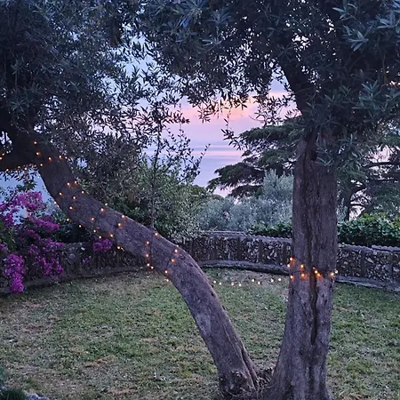 La Conchiglia Camogli