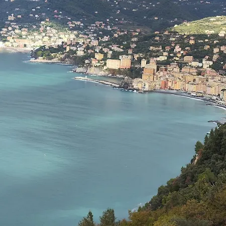 住宿加早餐酒店 La Conchiglia 4*