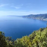 La Conchiglia