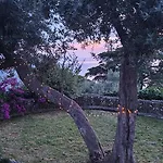 La Conchiglia كامولّي